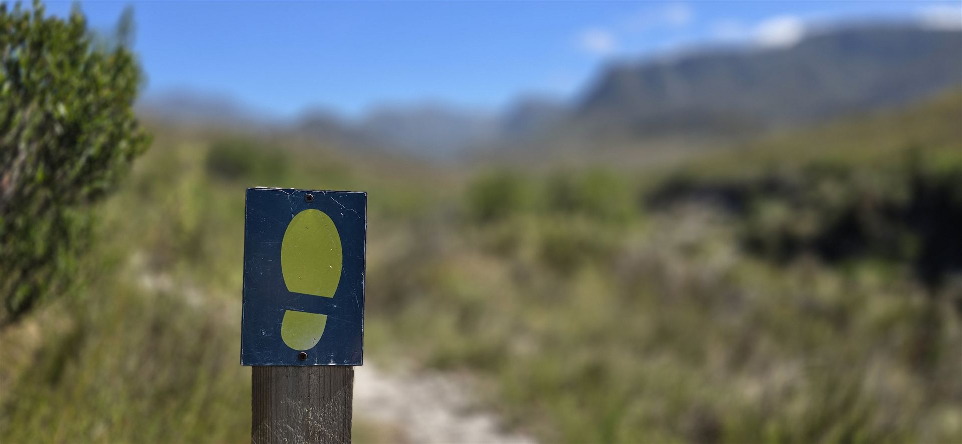 Palmiet Walk Photo 5